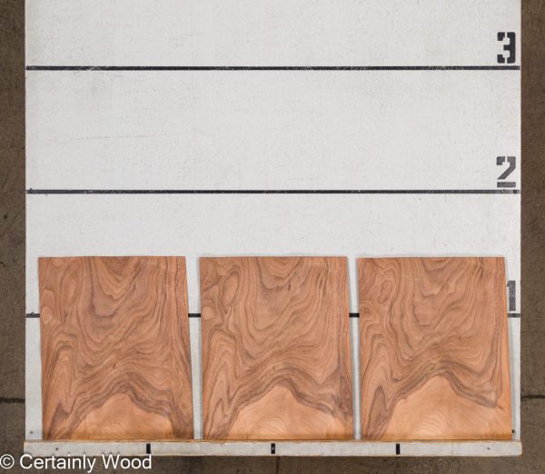 WS_SW_WAL_1210-7_2.jpg WS_SW_WAL_1210-7_2.jpg