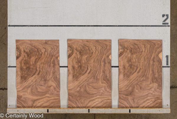 WS_SW_WAL_25321-09_2 WS_SW_WAL_25321-09_2