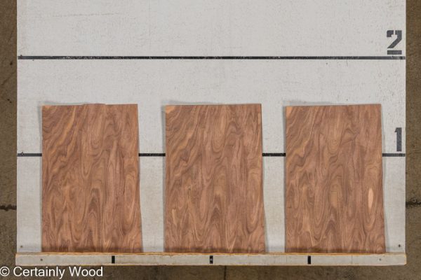 WS_SW_WAL_25321-10_2 WS_SW_WAL_25321-10_2