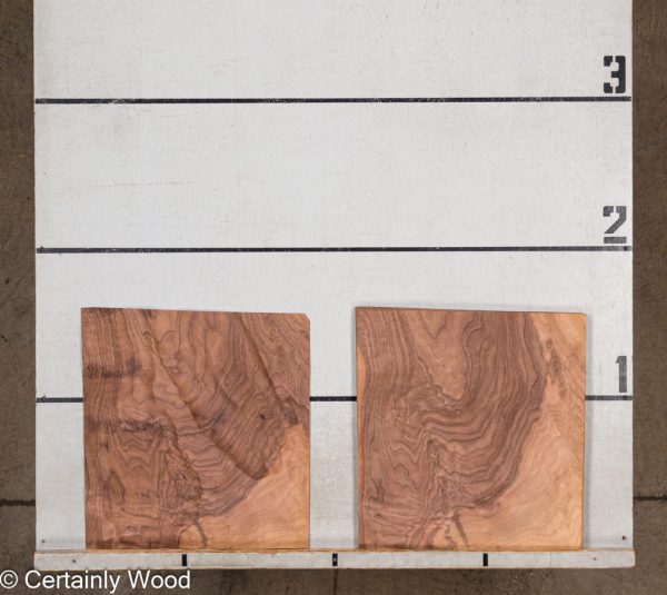 WS_SW_WAL_903-11_2.jpg WS_SW_WAL_903-11_2.jpg