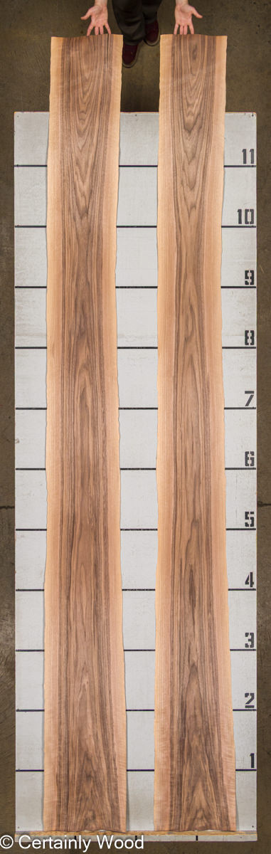 WS_WALNUT_22486-1A_2.jpg WS_WALNUT_22486-1A_2.jpg