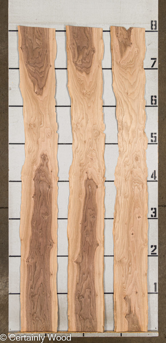 WS_WALNUT_24352-2_2.jpg WS_WALNUT_24352-2_2.jpg