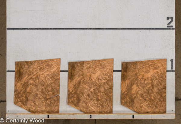 WS_WAL_BURL_1613-3C_2.jpg WS_WAL_BURL_1613-3C_2.jpg