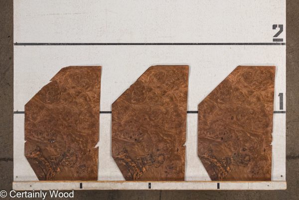 WS_WAL_BURL_23516-18_2.jpg WS_WAL_BURL_23516-18_2.jpg