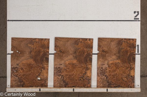 WS_WAL_BURL_23516-25_2.jpg WS_WAL_BURL_23516-25_2.jpg