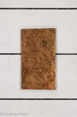 WS WAL BURL 24191-09