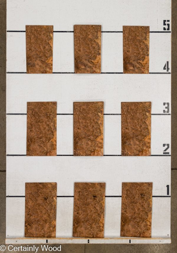 WS_WAL_BURL_24191-9_2.jpg WS_WAL_BURL_24191-9_2.jpg