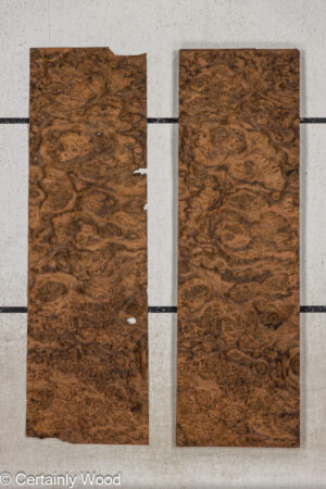 WS WAL BURL 25008-12