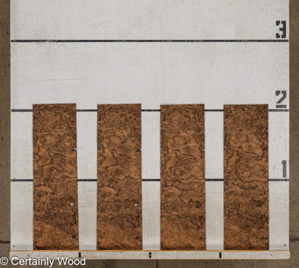 WS_WAL_BURL_25008-12_2.jpg WS_WAL_BURL_25008-12_2.jpg