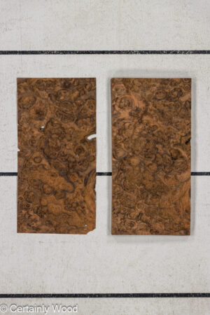 WS WAL BURL 25008-14