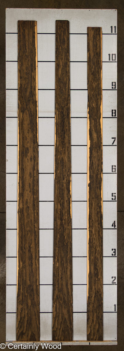 ZIRICOTE_25098-1_2.jpg ZIRICOTE_25098-1_2.jpg