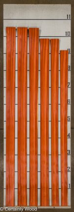 PADAUK_21500-3_2