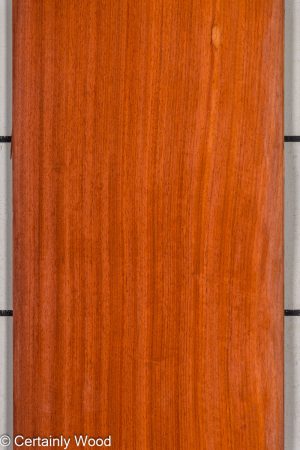 PADAUK 25305-1