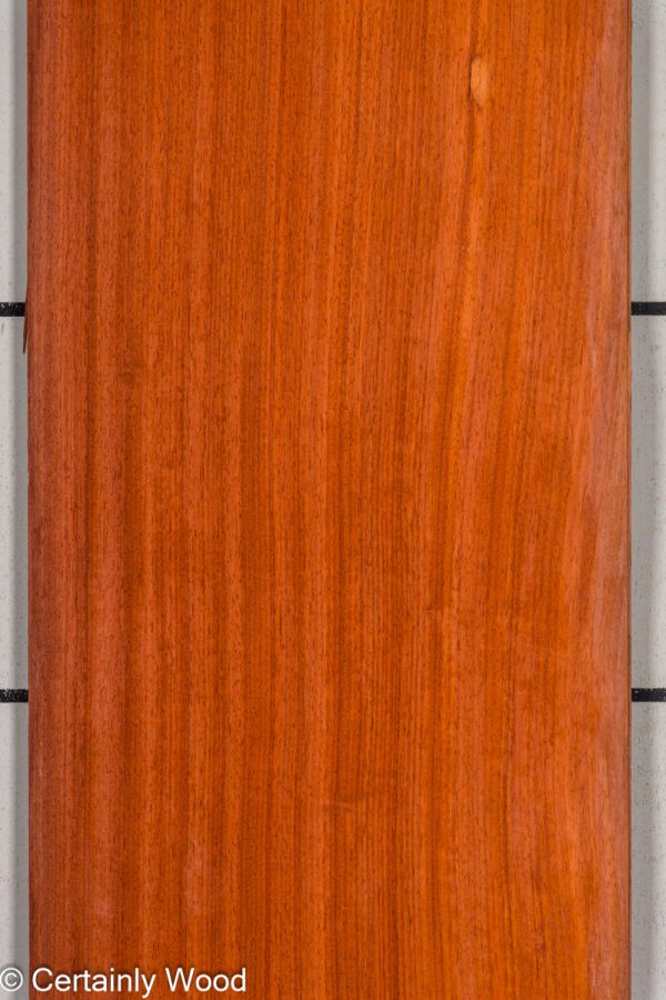 PADAUK_25305-1_1
