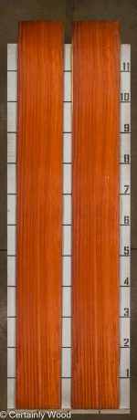 PADAUK_25305-1_2