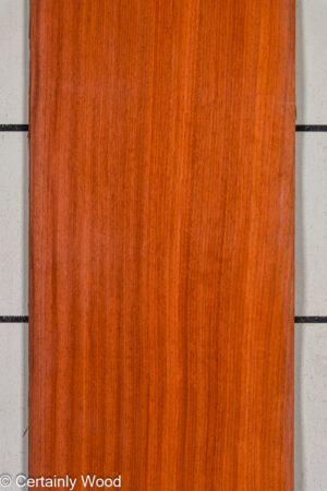 PADAUK 25305-2