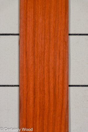 PADAUK 25305-3