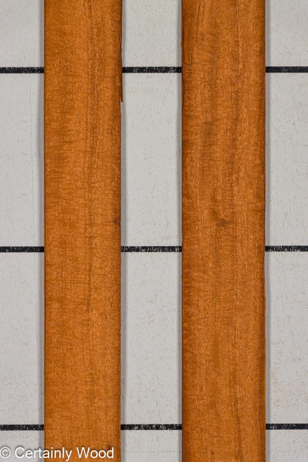 QT_MAHOG_25309-4_SA_1