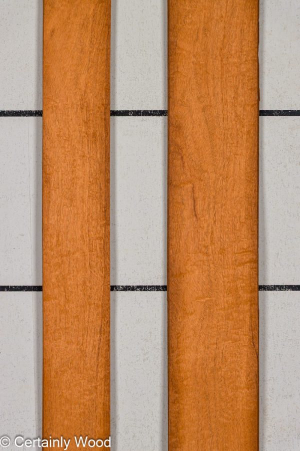 QT_MAHOG_25309-5_SA_1