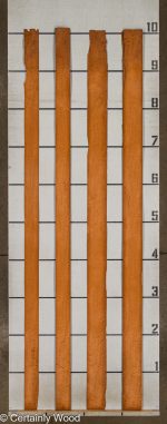 QT_MAHOG_25309-5_SA_2