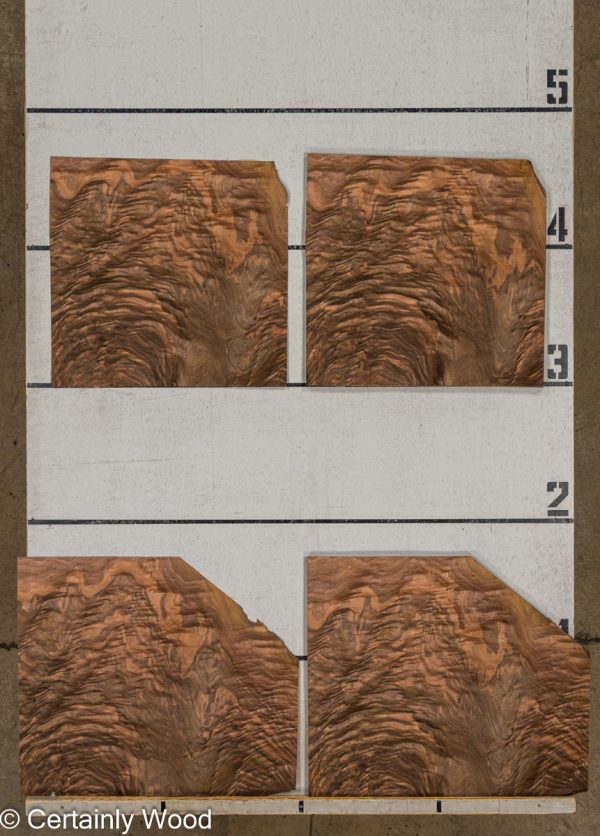 ST_WAL_25325-4B_2 ST_WAL_25325-4B_2