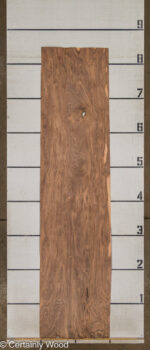 SW_WALNUT_25322-01_2