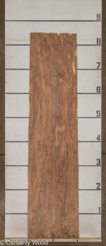 SW_WALNUT_25322-01_3