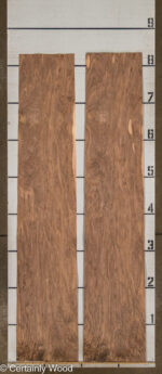 SW_WALNUT_25322-02B_2