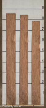 SW_WALNUT_25322-02D_2