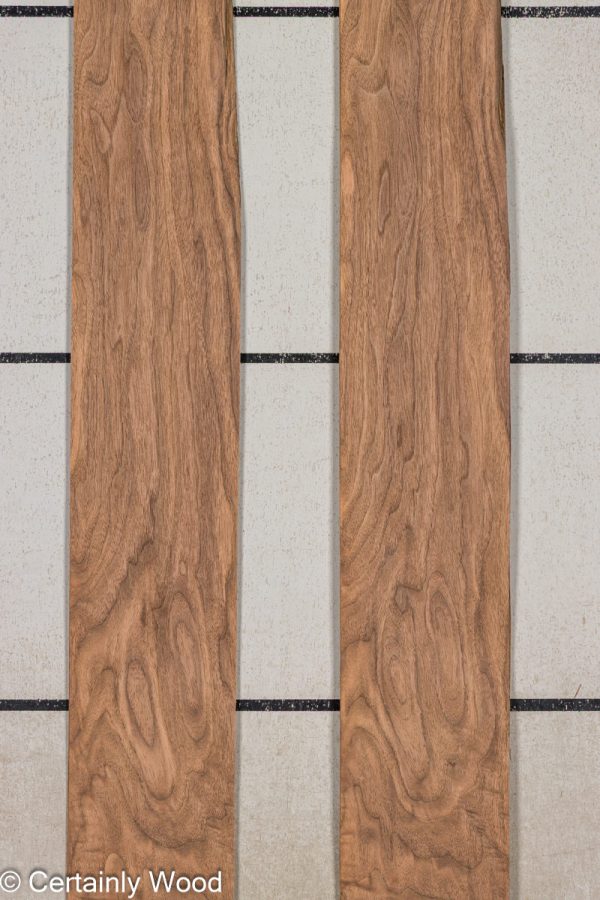 SW_WALNUT_25322-12_1