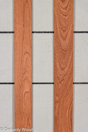 WS 1/16 SAPELE 25210-5