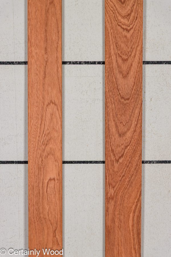 WS_16_SAPELE_25210-5_1