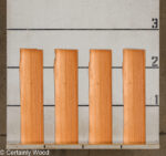 WS_QT_MAHOG_25307-4_SA_2