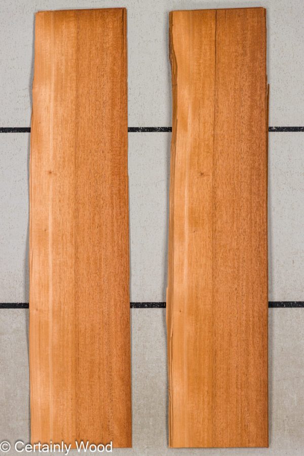 WS_QT_MAHOG_25307-5_SA_1