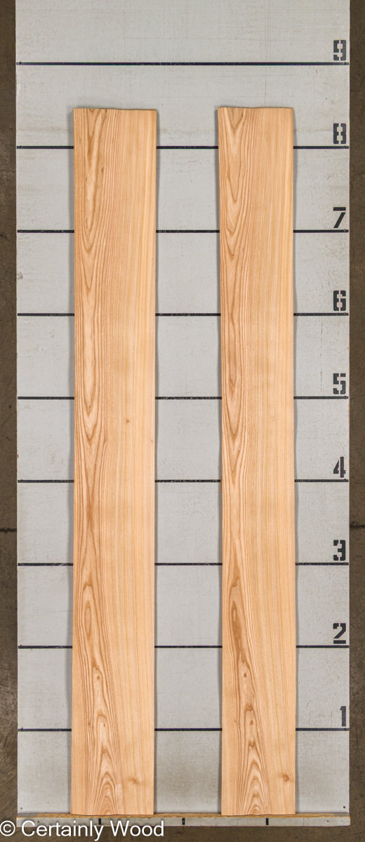 WS_R_ELM_25294-1C_2 WS_R_ELM_25294-1C_2