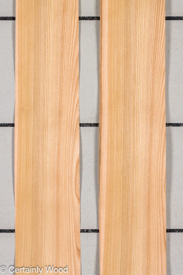 WS_R_ELM_25297-7_1 WS_R_ELM_25297-7_1