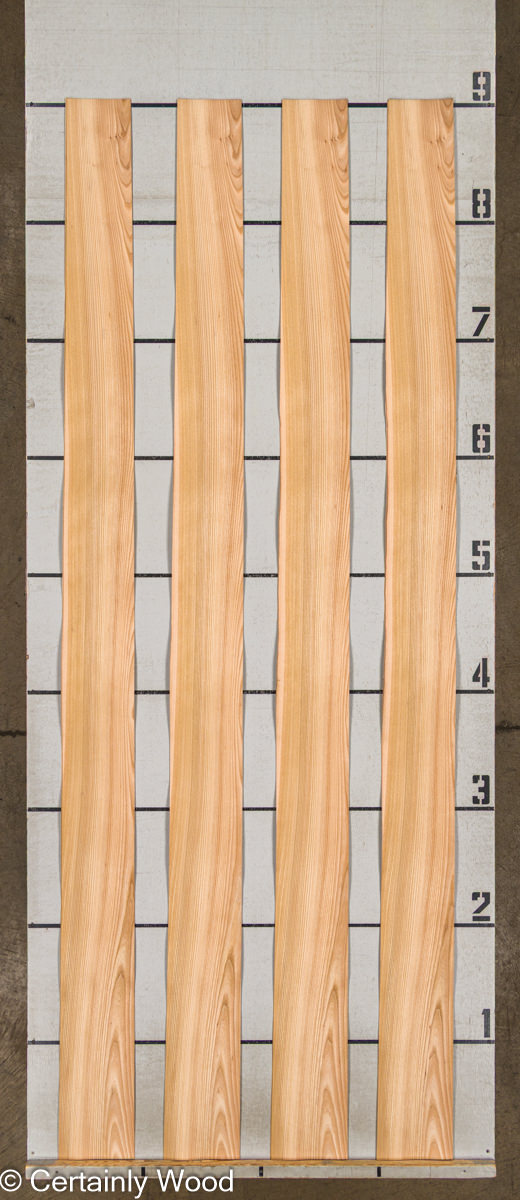 WS_R_ELM_25297-7_2 WS_R_ELM_25297-7_2