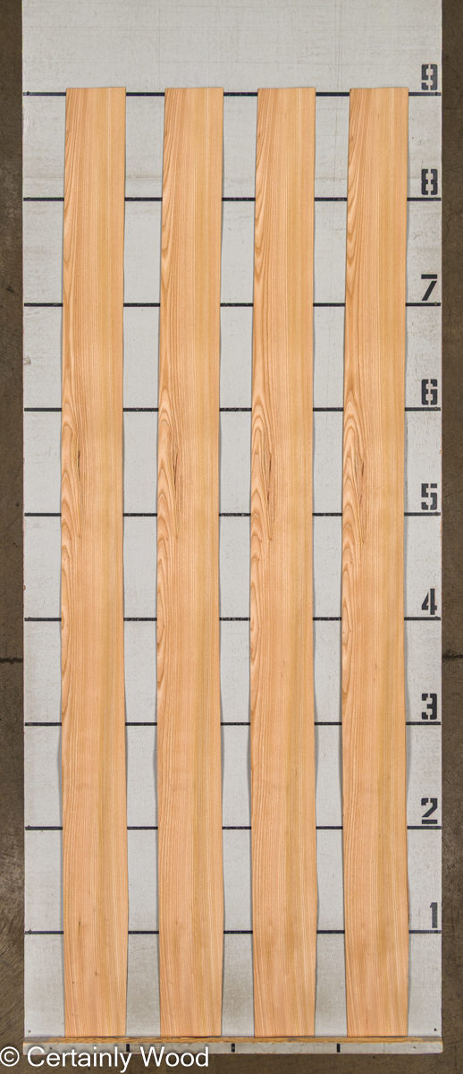 WS_R_ELM_25297-8_2 WS_R_ELM_25297-8_2